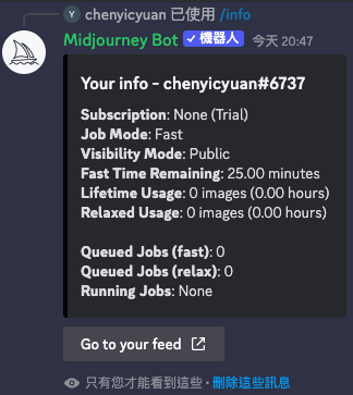 Midjourney /info 指令